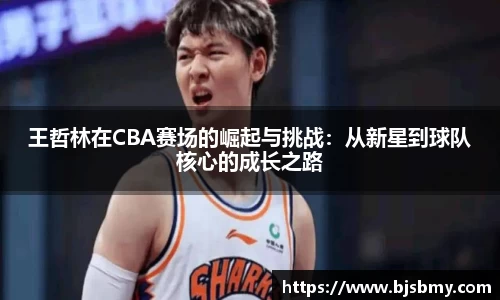 王哲林在CBA赛场的崛起与挑战：从新星到球队核心的成长之路